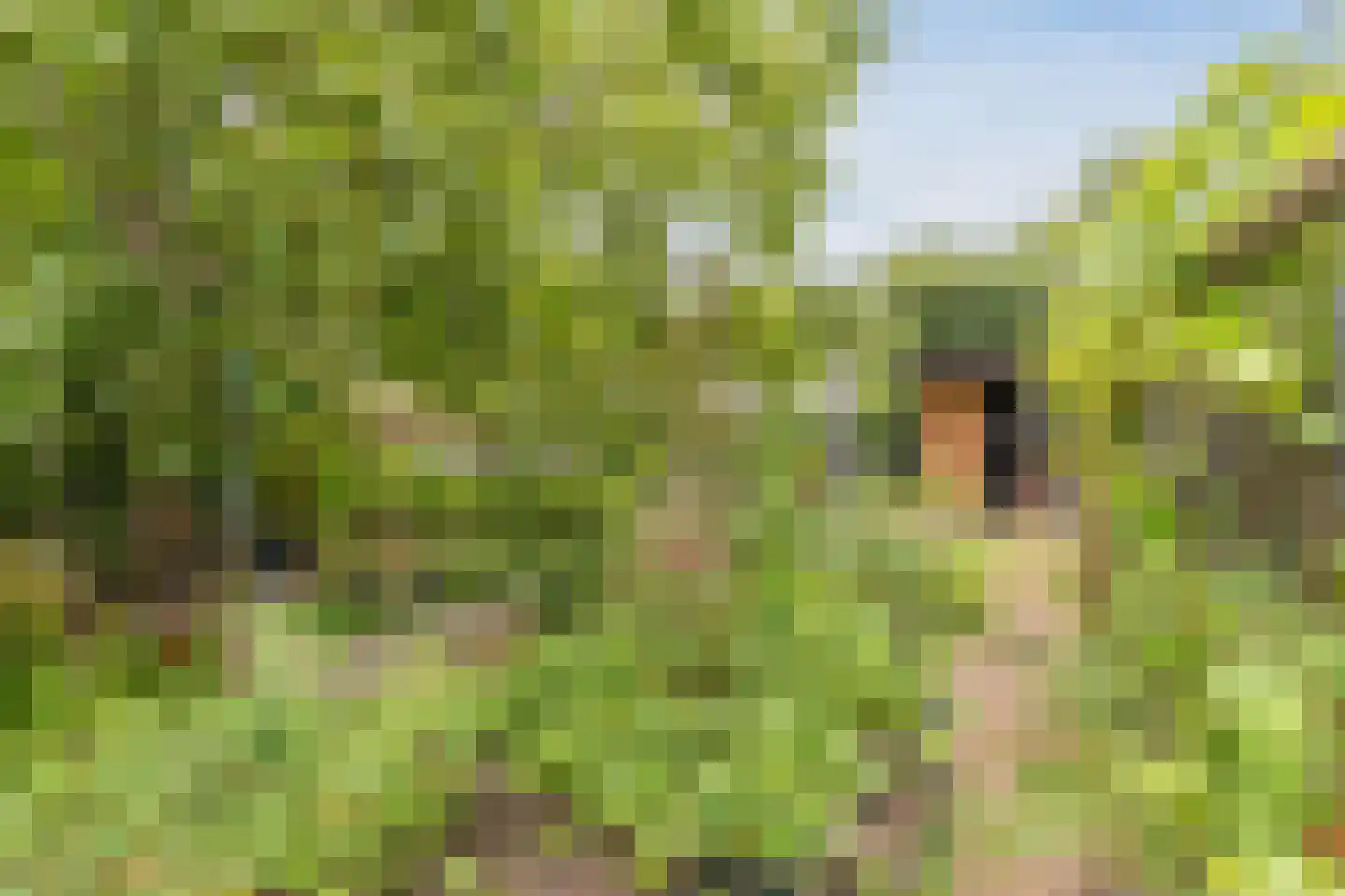 de Hoef Oostzijde 73 de Hoef thumbnail 46