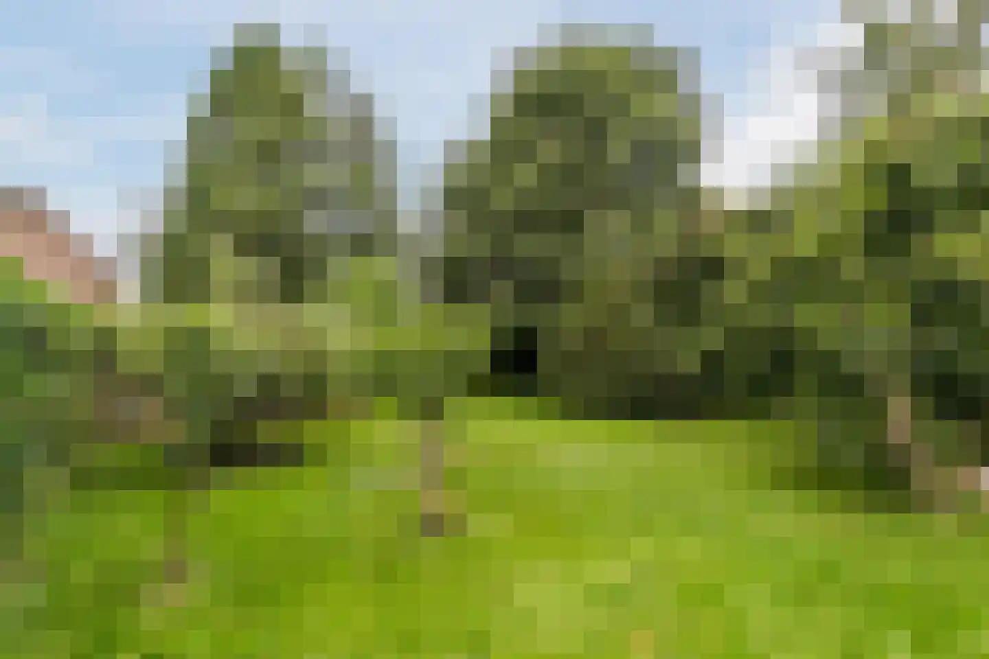 de Hoef Oostzijde 73 de Hoef thumbnail 47
