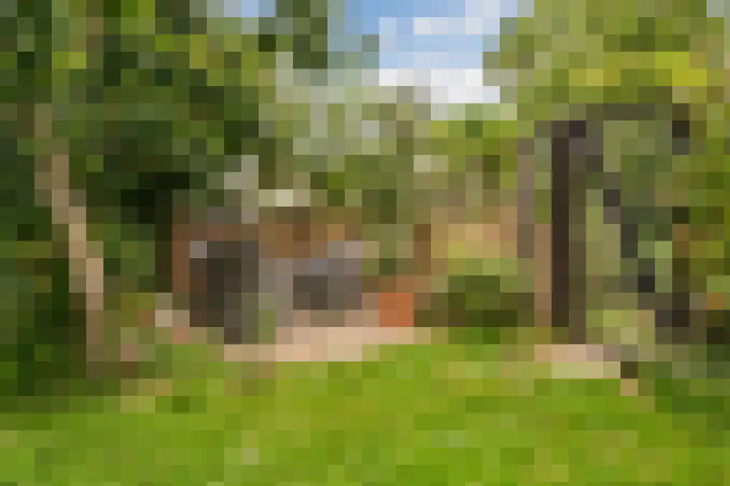 de Hoef Oostzijde 73 de Hoef thumbnail 48