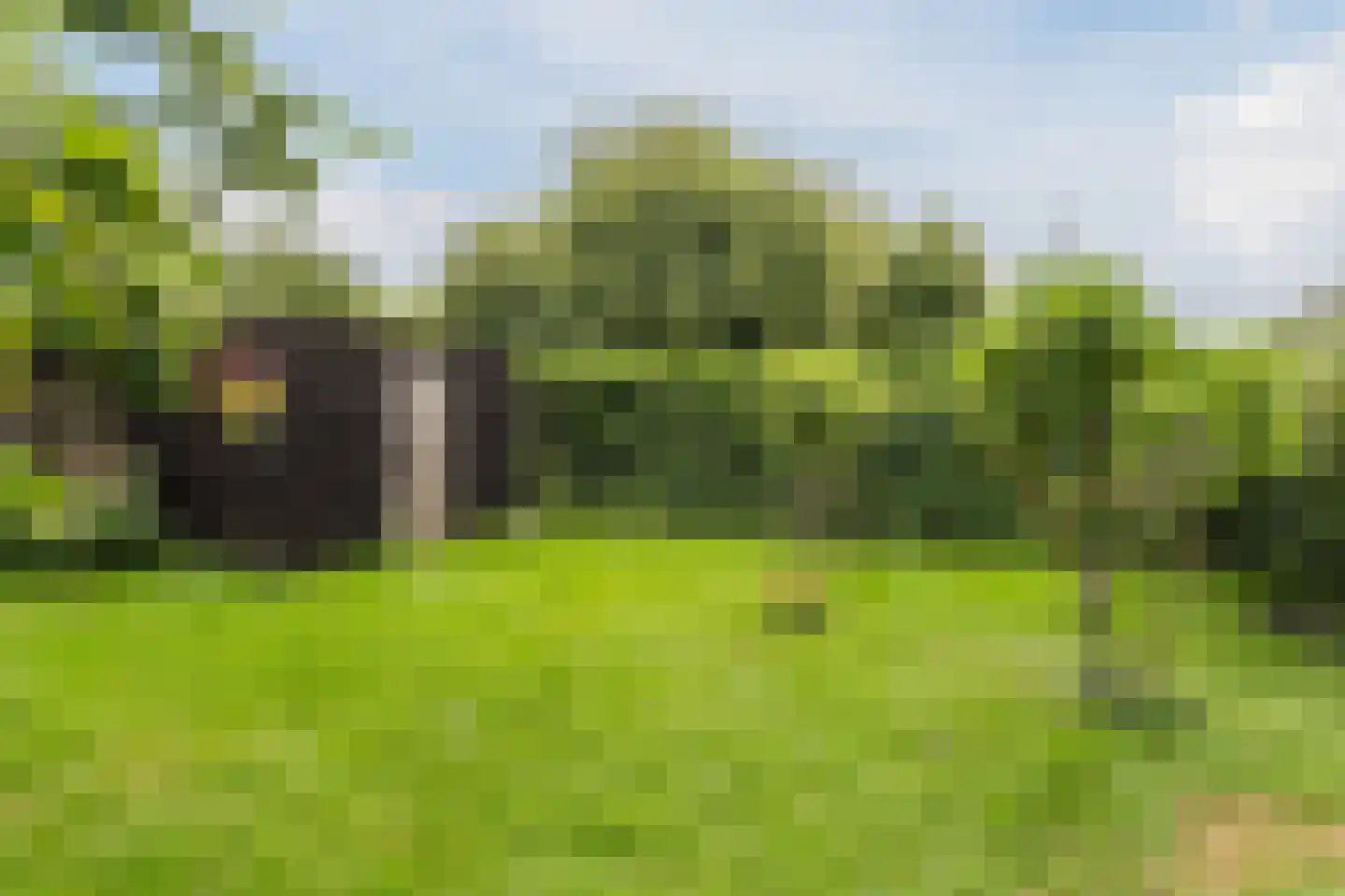 de Hoef Oostzijde 73 de Hoef thumbnail 49