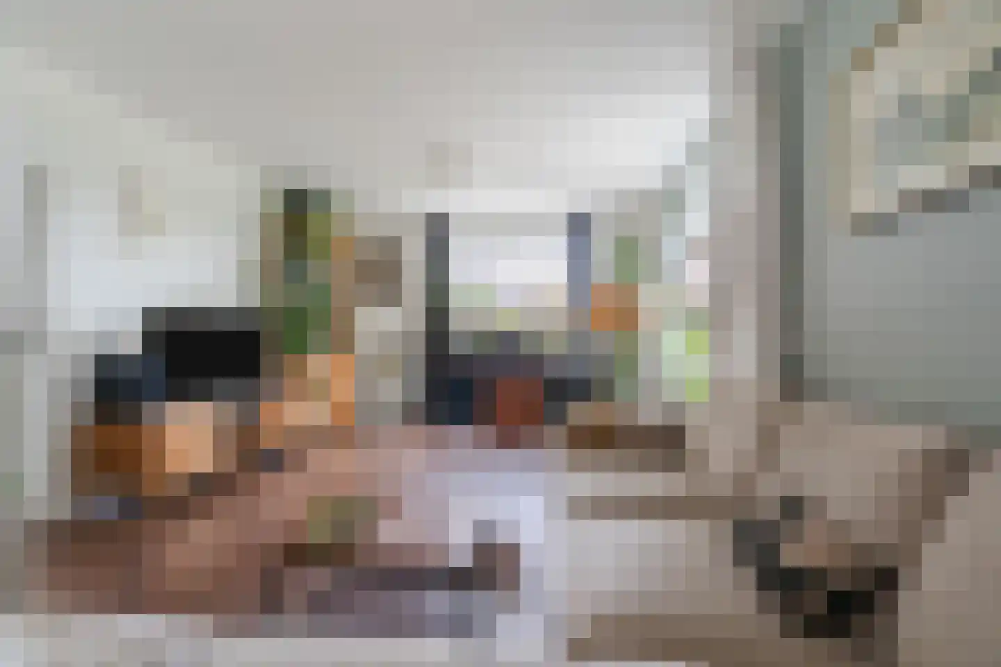 de Hoef Oostzijde 73 de Hoef thumbnail 5