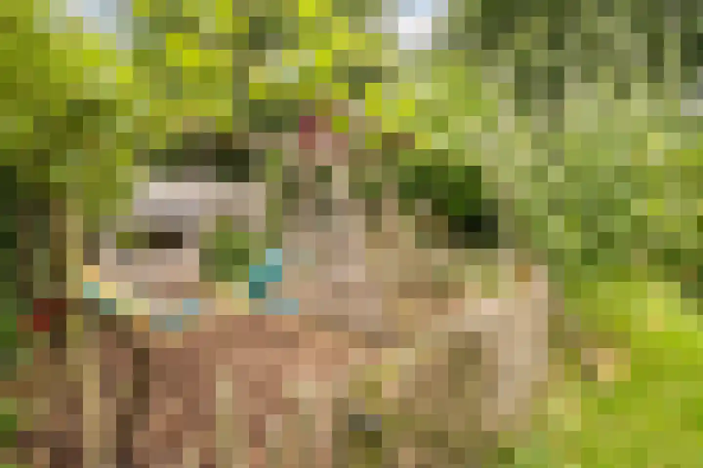 de Hoef Oostzijde 73 de Hoef thumbnail 50