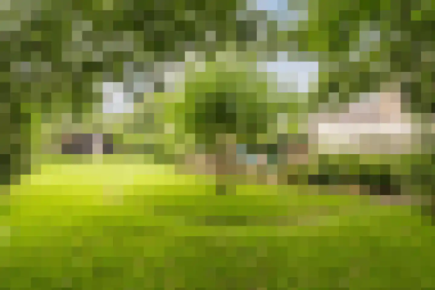 de Hoef Oostzijde 73 de Hoef thumbnail 51