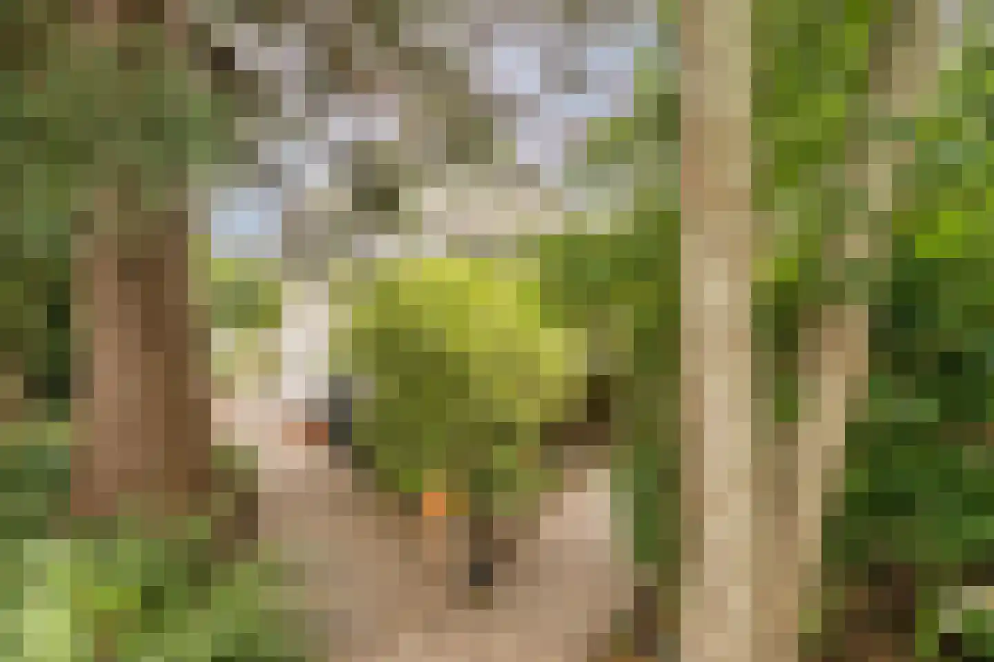 de Hoef Oostzijde 73 de Hoef thumbnail 52