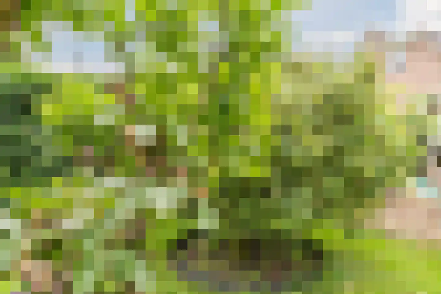 de Hoef Oostzijde 73 de Hoef thumbnail 53