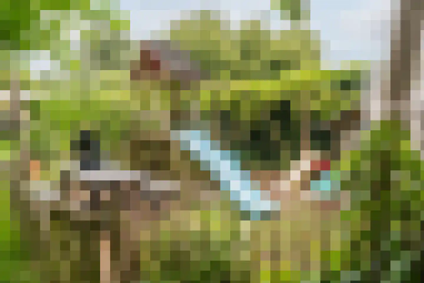 de Hoef Oostzijde 73 de Hoef thumbnail 54