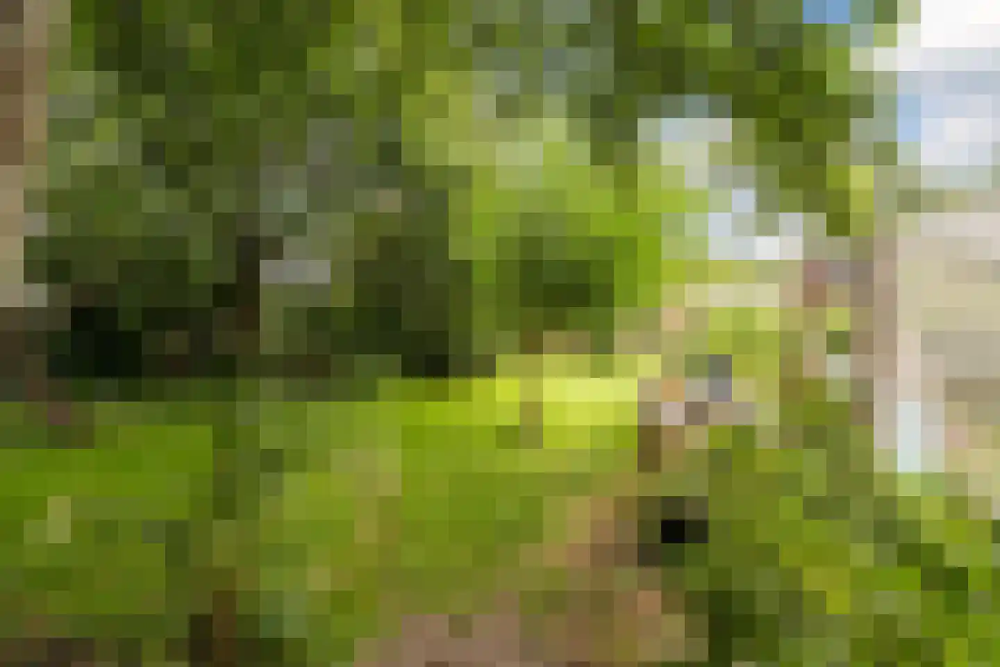 de Hoef Oostzijde 73 de Hoef thumbnail 55