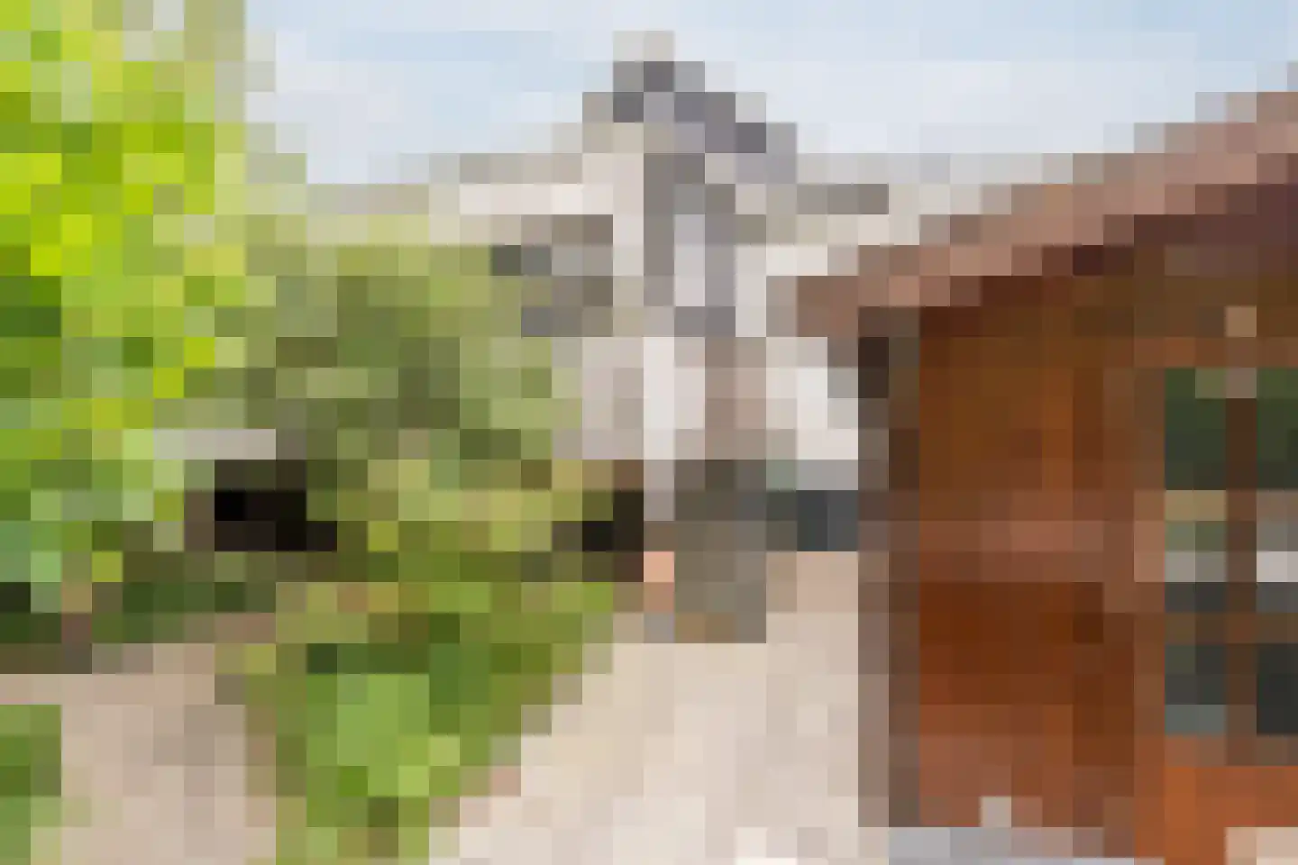 de Hoef Oostzijde 73 de Hoef thumbnail 56