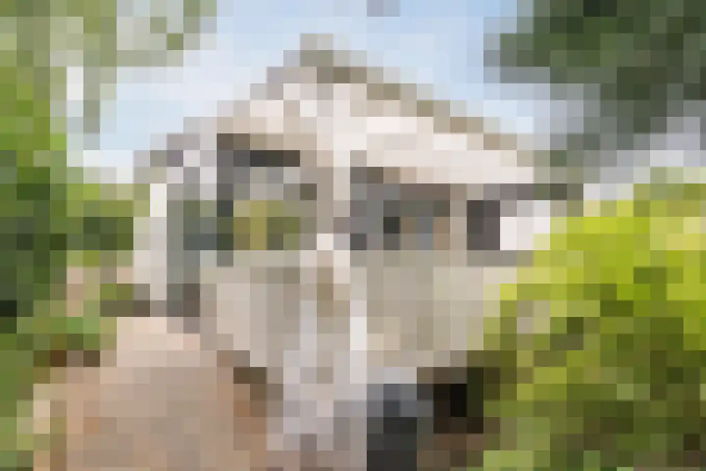 de Hoef Oostzijde 73 de Hoef thumbnail 57