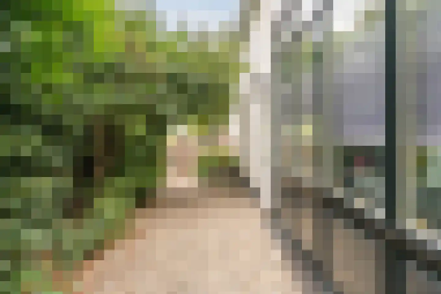 de Hoef Oostzijde 73 de Hoef thumbnail 58