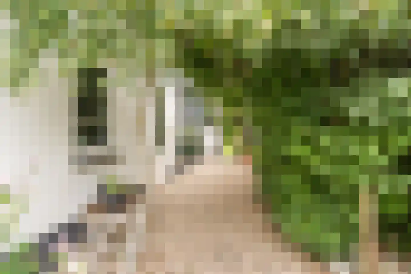 de Hoef Oostzijde 73 de Hoef thumbnail 59
