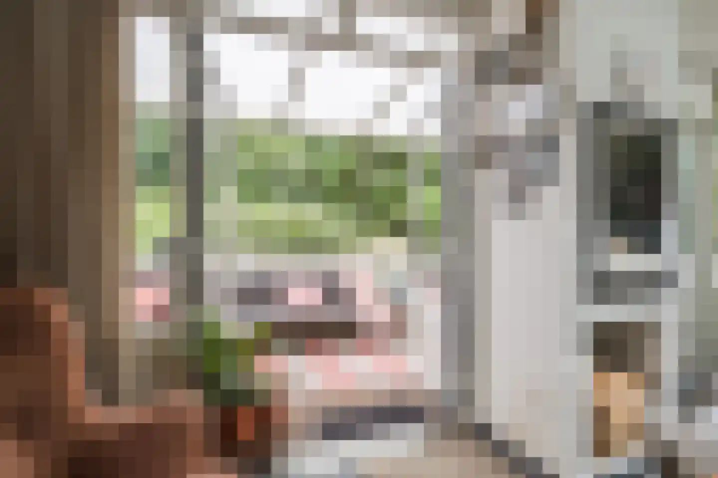 de Hoef Oostzijde 73 de Hoef thumbnail 7