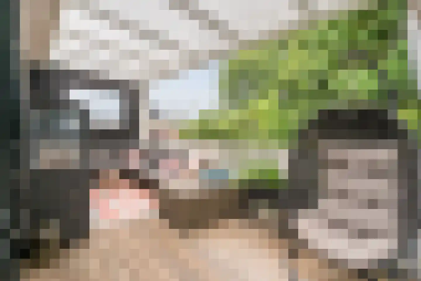 de Hoef Oostzijde 73 de Hoef thumbnail 8