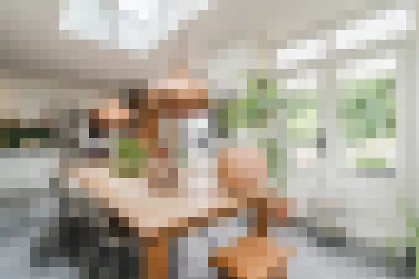 de Hoef Oostzijde 73 de Hoef thumbnail 9