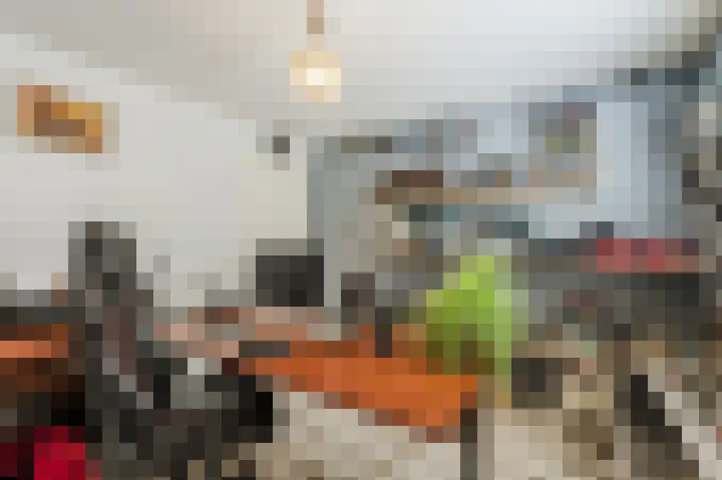 de Hoef Westzijde 44 de Hoef thumbnail 20