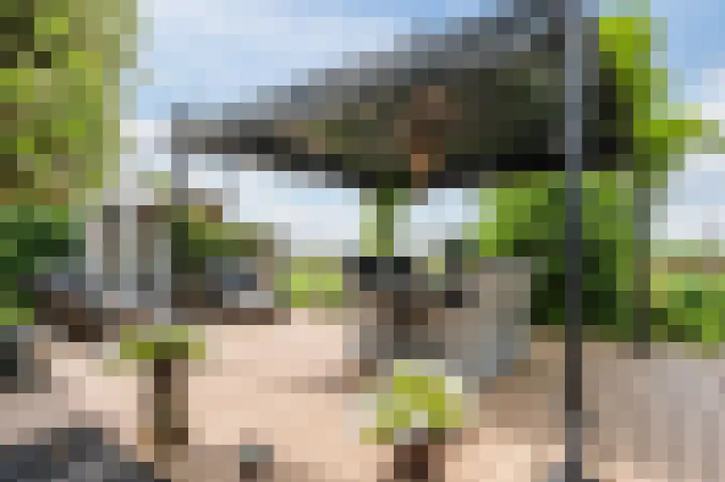 de Hoef Westzijde 44 de Hoef thumbnail 35