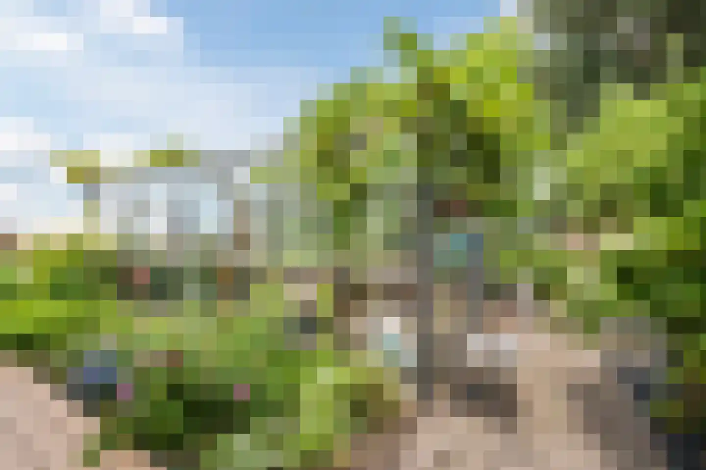 de Hoef Westzijde 44 de Hoef thumbnail 37