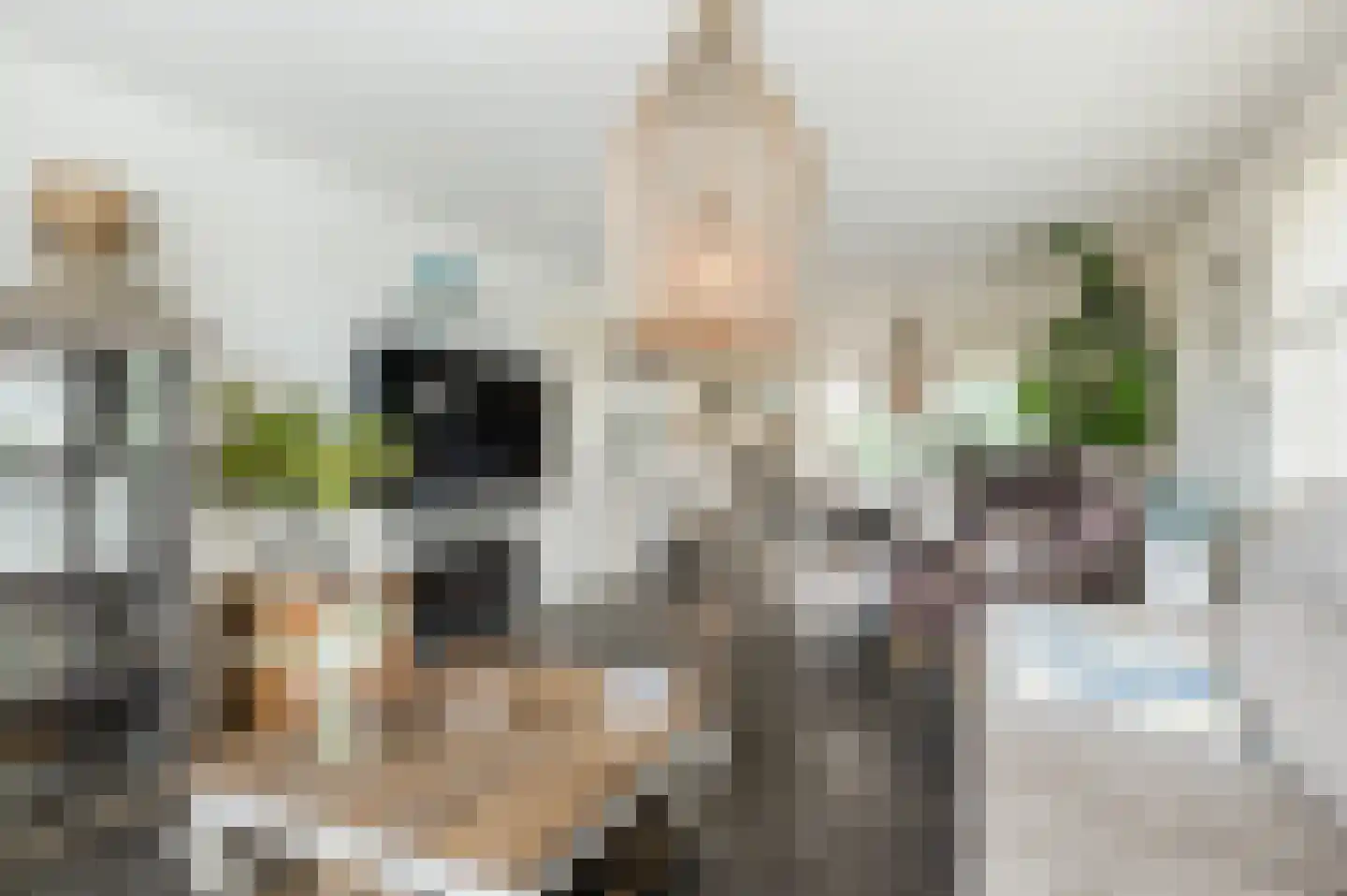 de Hoef Westzijde 44 de Hoef thumbnail 6