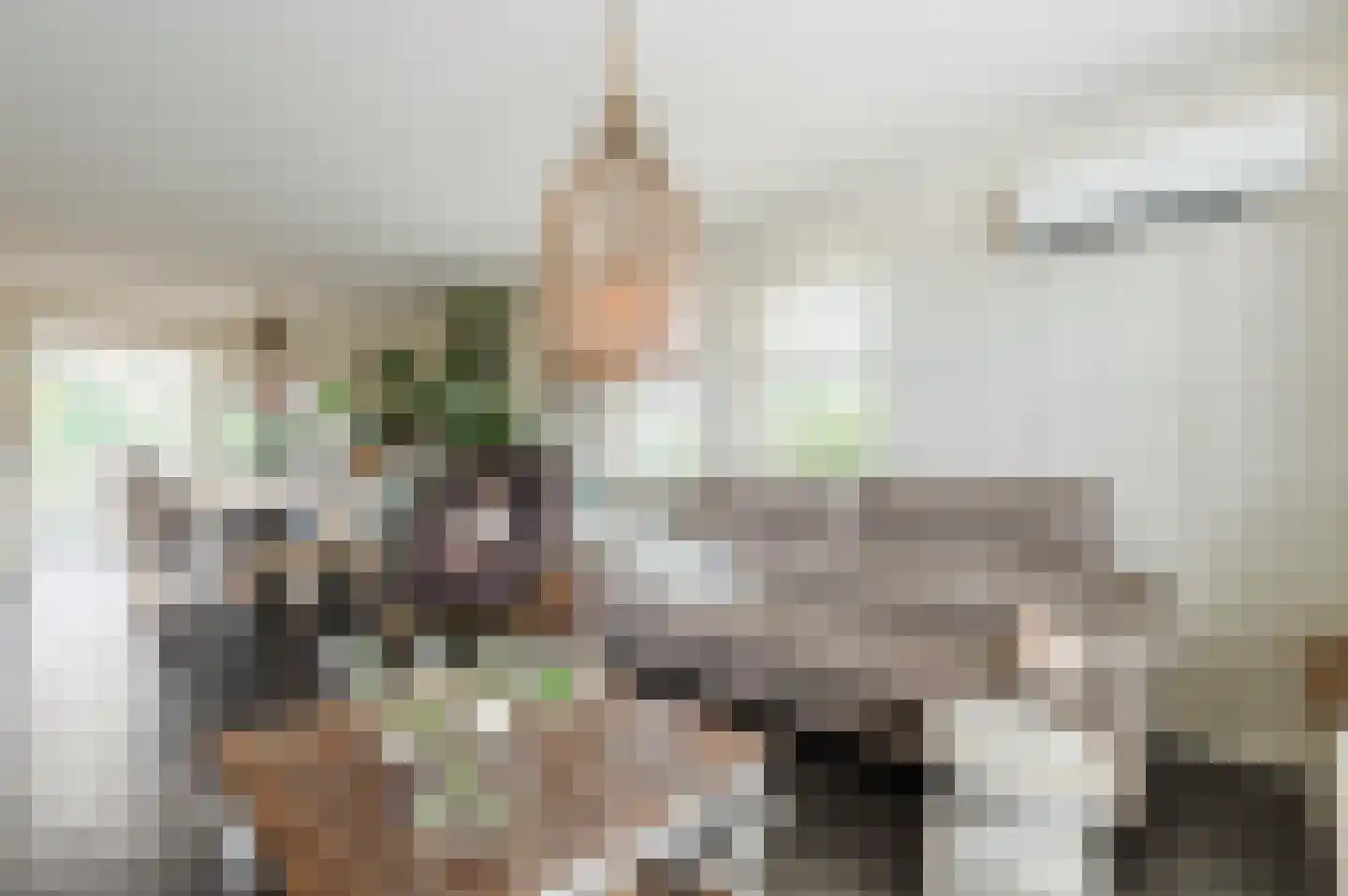 de Hoef Westzijde 44 de Hoef thumbnail 7