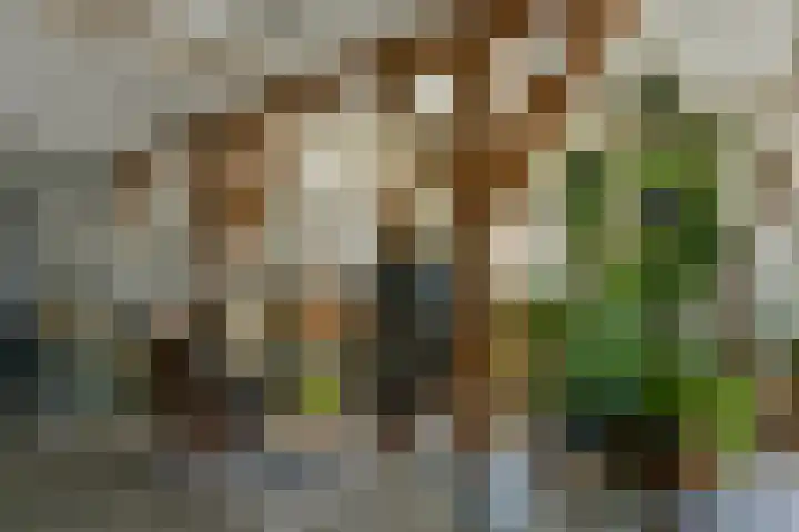 de Hoef Westzijde 47 de Hoef thumbnail 10