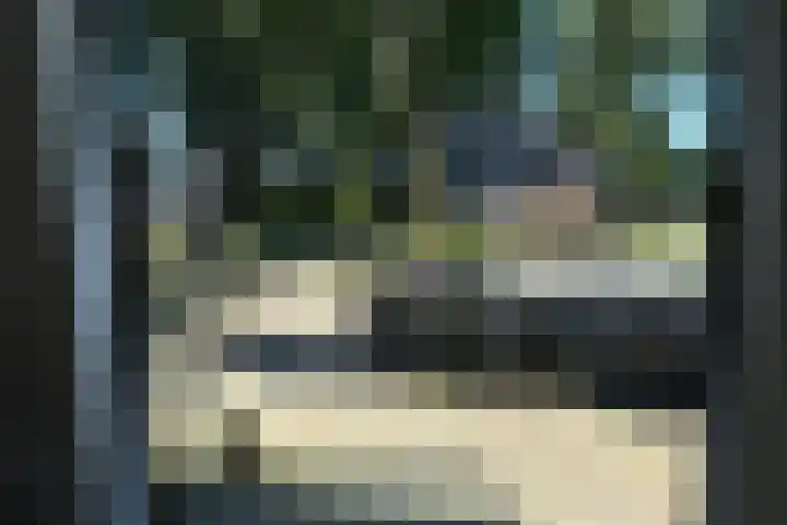 de Hoef Westzijde 47 de Hoef thumbnail 15