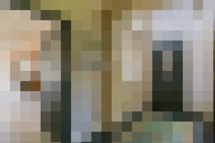 de Hoef Westzijde 47 de Hoef thumbnail 20