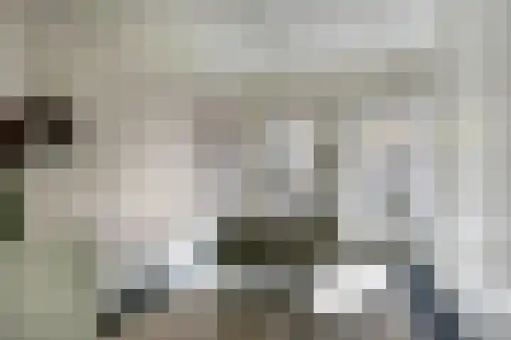 de Hoef Westzijde 47 de Hoef thumbnail 26