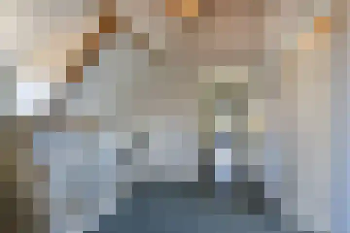 de Hoef Westzijde 47 de Hoef thumbnail 30