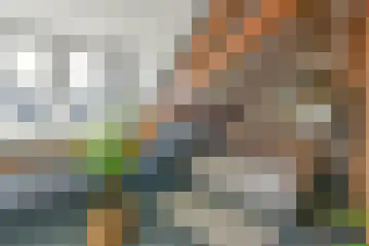 de Hoef Westzijde 47 de Hoef thumbnail 33