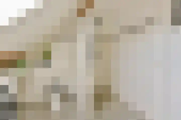 de Hoef Westzijde 47 de Hoef thumbnail 34
