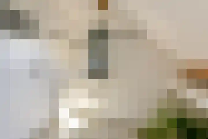 de Hoef Westzijde 47 de Hoef thumbnail 35