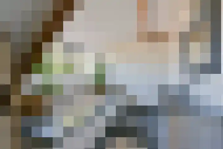 de Hoef Westzijde 47 de Hoef thumbnail 39