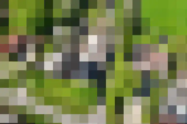 de Hoef Westzijde 47 de Hoef thumbnail 4