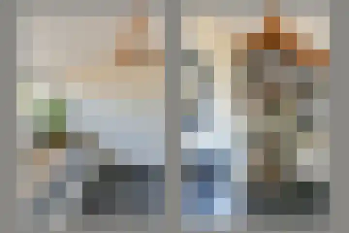 de Hoef Westzijde 47 de Hoef thumbnail 40