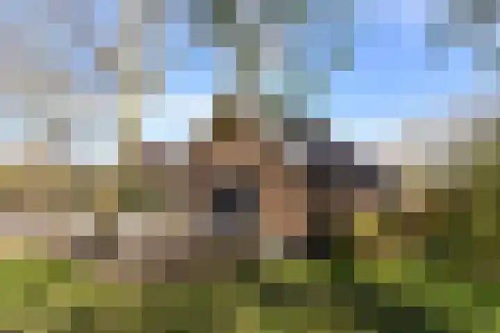 de Hoef Westzijde 47 de Hoef thumbnail 41