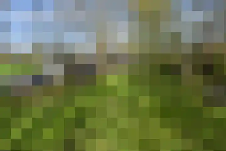 de Hoef Westzijde 47 de Hoef thumbnail 42