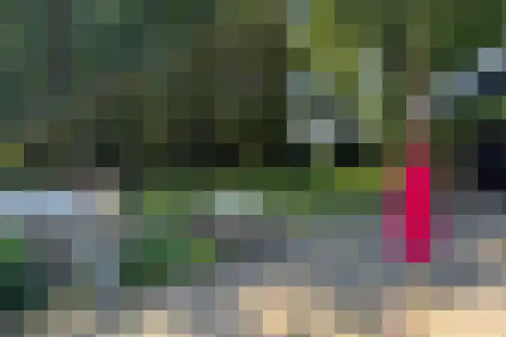 de Hoef Westzijde 47 de Hoef thumbnail 43