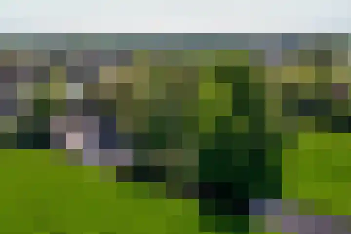 de Hoef Westzijde 47 de Hoef thumbnail 44