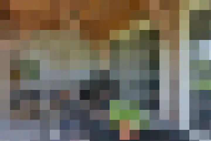 de Hoef Westzijde 47 de Hoef thumbnail 46