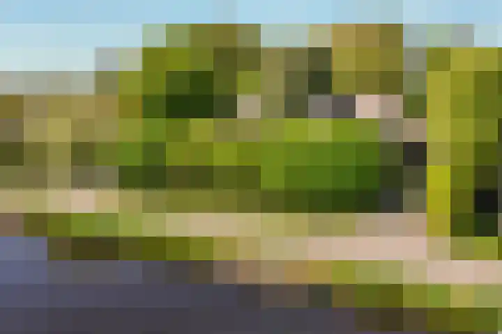 de Hoef Westzijde 47 de Hoef thumbnail 5