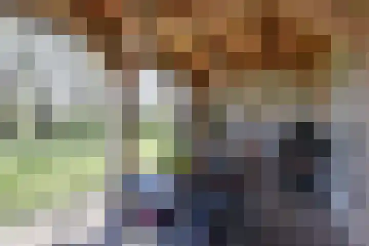 de Hoef Westzijde 47 de Hoef thumbnail 54