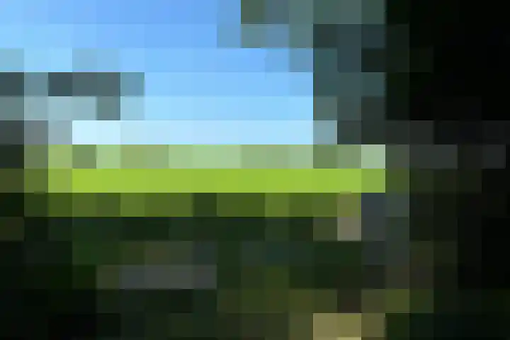 de Hoef Westzijde 47 de Hoef thumbnail 55