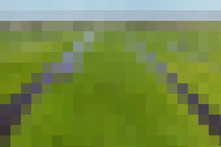 de Hoef Westzijde 47 de Hoef thumbnail 56