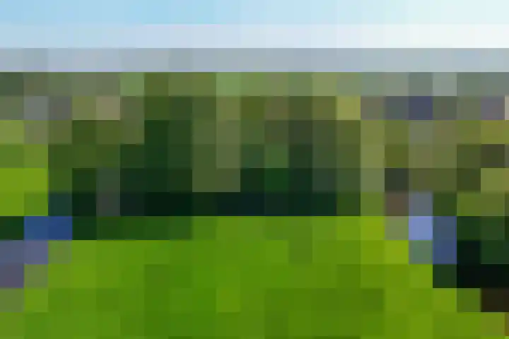 de Hoef Westzijde 47 de Hoef thumbnail 57
