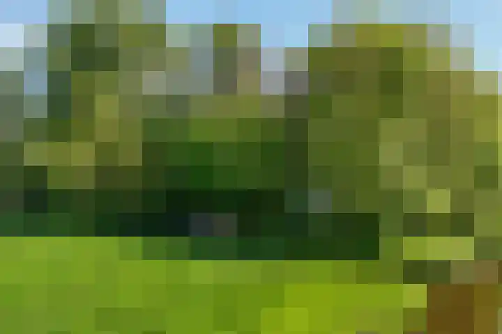 de Hoef Westzijde 47 de Hoef thumbnail 58