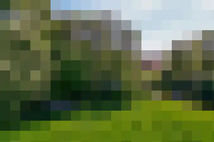 de Hoef Westzijde 47 de Hoef thumbnail 59