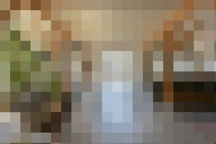 de Hoef Westzijde 47 de Hoef thumbnail 6