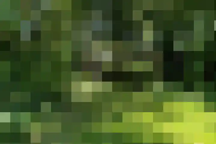 de Hoef Westzijde 47 de Hoef thumbnail 60