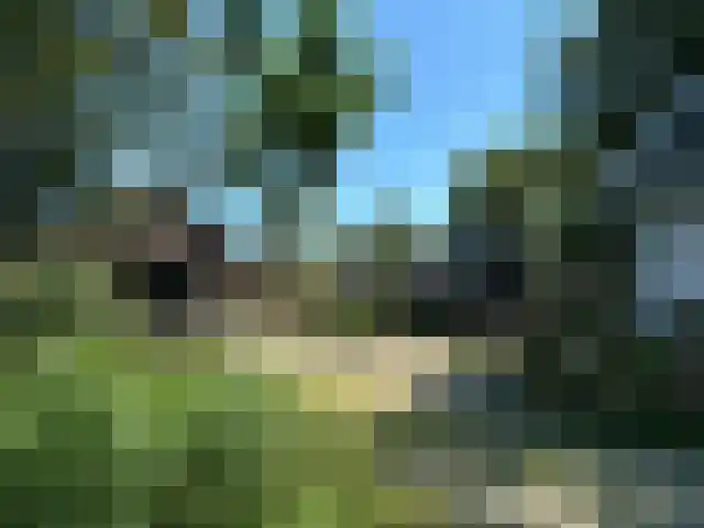 de Hoef Westzijde 47 de Hoef thumbnail 61