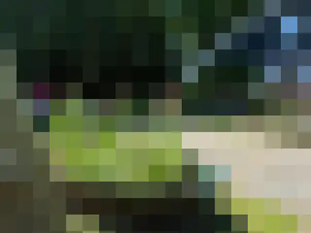 de Hoef Westzijde 47 de Hoef thumbnail 63